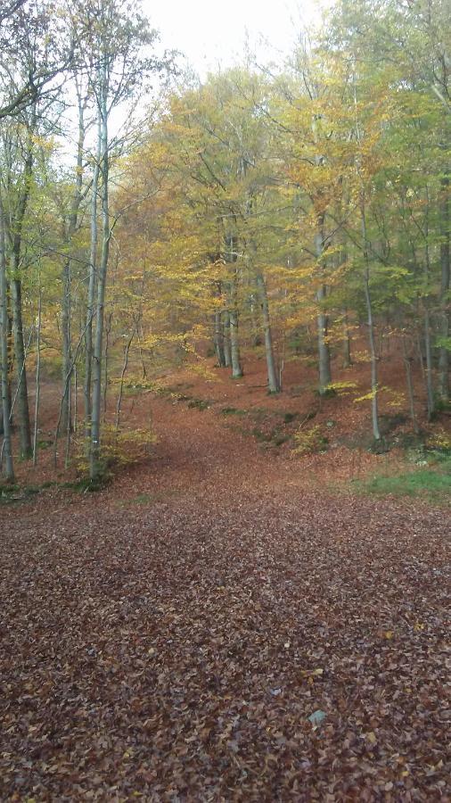 Vakantieverblijf Nature ستافيلوت المظهر الخارجي الصورة